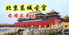 骚逼黄色片中国北京-东城古宫旅游风景区